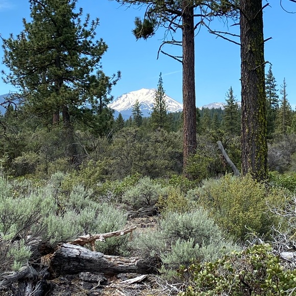 Meet your Posher, Drew - Picture 7 of 10